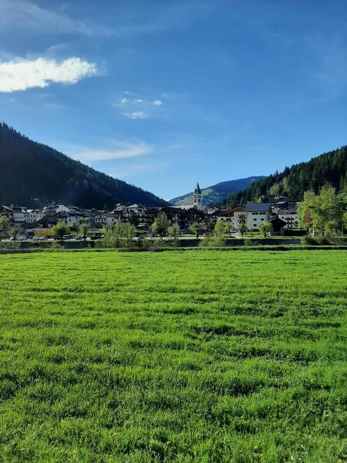 Appartement Hirsch Haus à Santo Stefano Di Cadore Extérieur photo